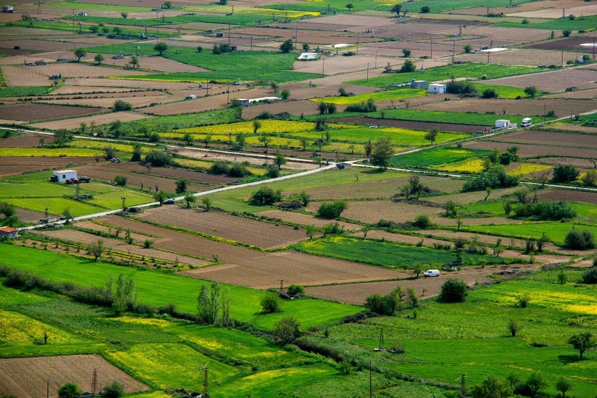 Strategic Land Investment Opportunity at Hoskote
